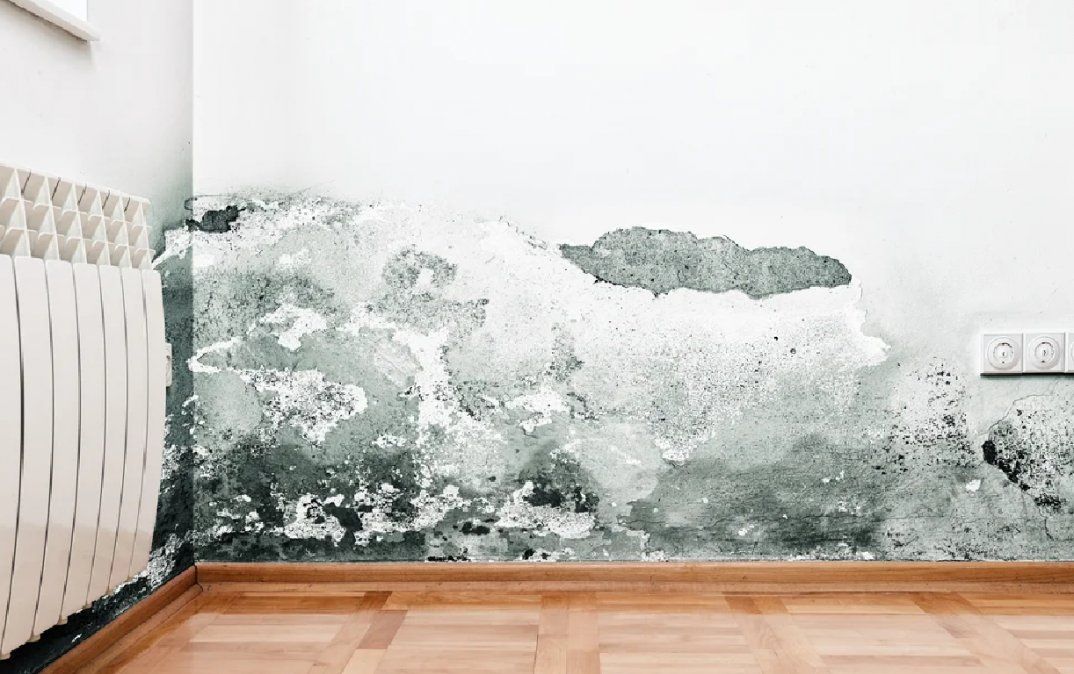 Cómo eliminar la humedad de las paredes de tu casa
