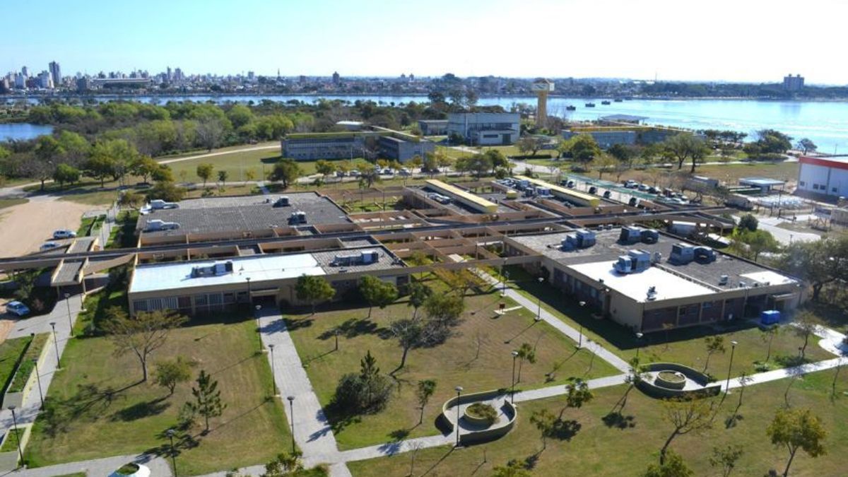 El Instituto de Desarrollo Tecnológico para la Industria Química (INTEC