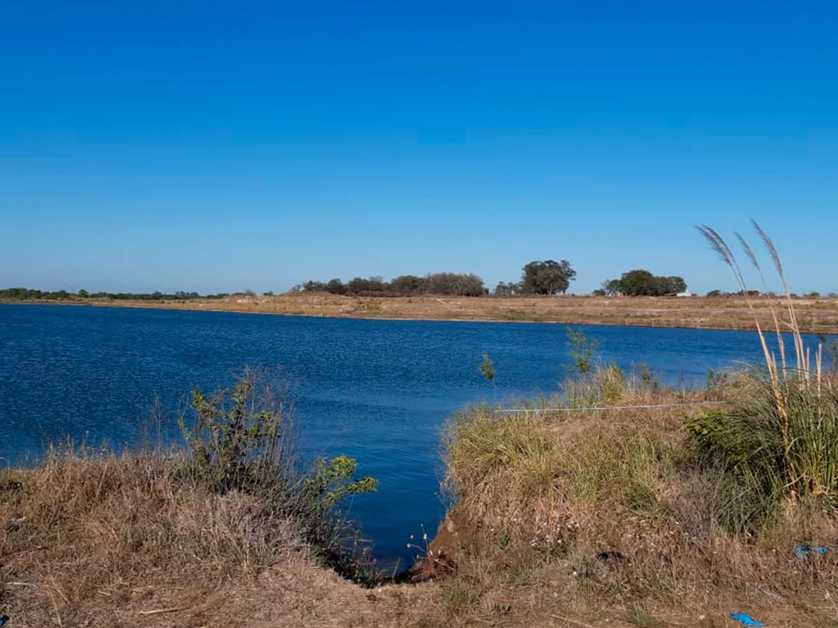 Encontraron a un jubilado apuñalado en un tanque de agua y detuvieron a su hijo.