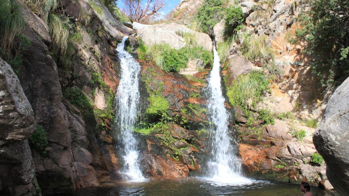 La Reserva Natural Quebrada de Villa Elena protege especies de flora autóctona que solo prosperan bajo el microclima particular de la ladera occidental de los Comechingones. La Reserva Natural Quebrada de Villa Elena protege especies de flora autóctona que solo prosperan bajo el microclima particular de la ladera occidental de los Comechingones.