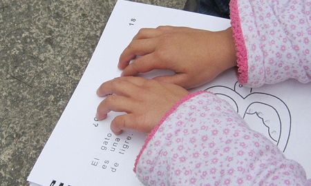 El núcleo de la ley especifica que los estudiantes con necesidades de apoyo tienen derecho a estar incluidos en todos los niveles del Sistema Educativo Nacional. El núcleo de la ley especifica que los estudiantes con necesidades de apoyo tienen derecho a estar incluidos en todos los niveles del Sistema Educativo Nacional.