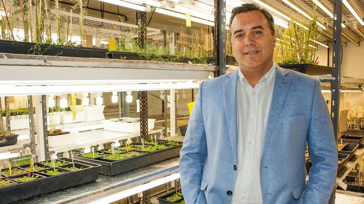 José Manuel Estévez es investigador de la Fundación Instituto Leloir (FIL) y del Conicet.