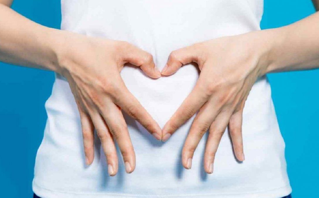 Cuáles son los efectos de los probióticos en las infecciones urinarias