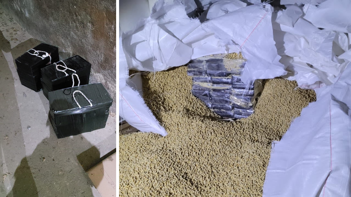 La droga se encontraba dentro de bolsas de cereales que iban a ser exportadas hacia Dubai.