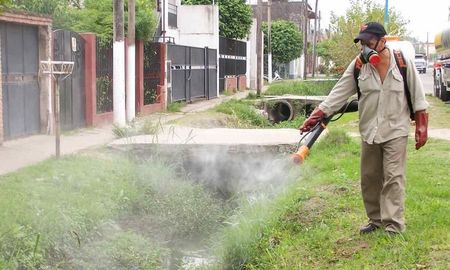 Los trabajos de fumigación se realizan en distintos puntos de la ciudad de Santa Fe, de manera simultánea. Los trabajos de fumigación se realizan en distintos puntos de la ciudad de Santa Fe, de manera simultánea.