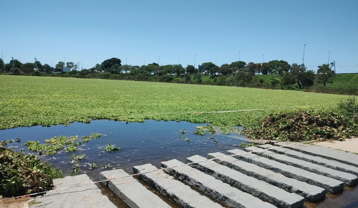 La Municipalidad de Santa Fe se encuentra trabajando en la limpieza y puesta punto del lago del Parque Sur.