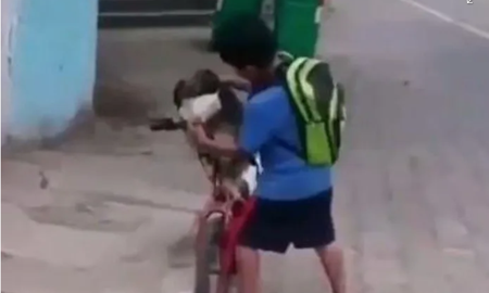 Ocurrió en México, le puso tapabocas a su perro para protegerlos y enterneció a todos. Ocurrió en México, le puso tapabocas a su perro para protegerlos y enterneció a todos.
