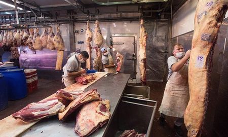se detectaron irregularidades en el 90% de los mayores frigorificos controlados se detectaron irregularidades en el 90% de los mayores frigorificos controlados