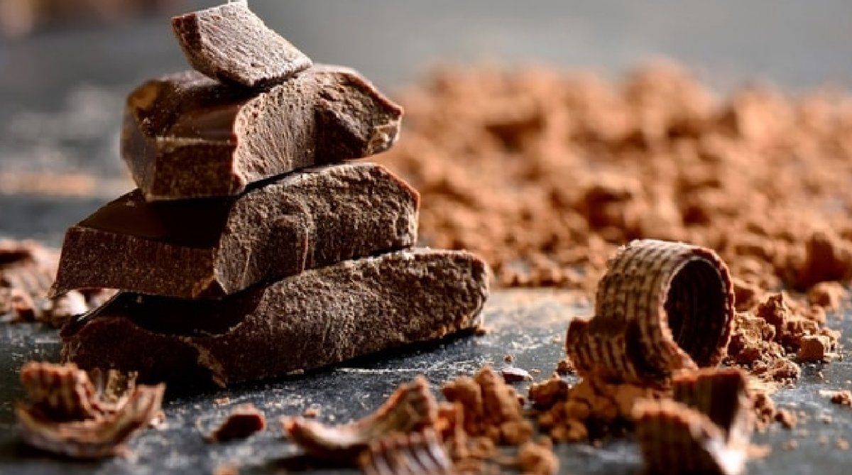 Chocolate y cacao