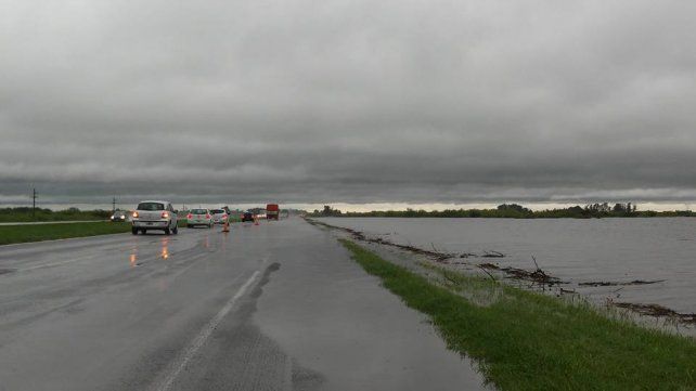Falleció una ciclista atropellada en plena Autopista