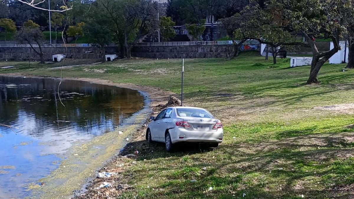 Un conductor estacionó su auto en Parque Sur