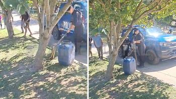 Encontraron una serpiente Yarará en la Costanera de Santo Tomé