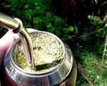 cuales son los yuyos para el mate que mejoran la salud cuales son los yuyos para el mate que mejoran la salud