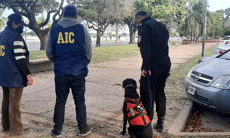 Policías, bomberos e investigadores pusieron a los cannes a trabajar y así tratar de enconontrar un rastro del hombre de 67 años. Policías, bomberos e investigadores pusieron a los cannes a trabajar y así tratar de enconontrar un rastro del hombre de 67 años.