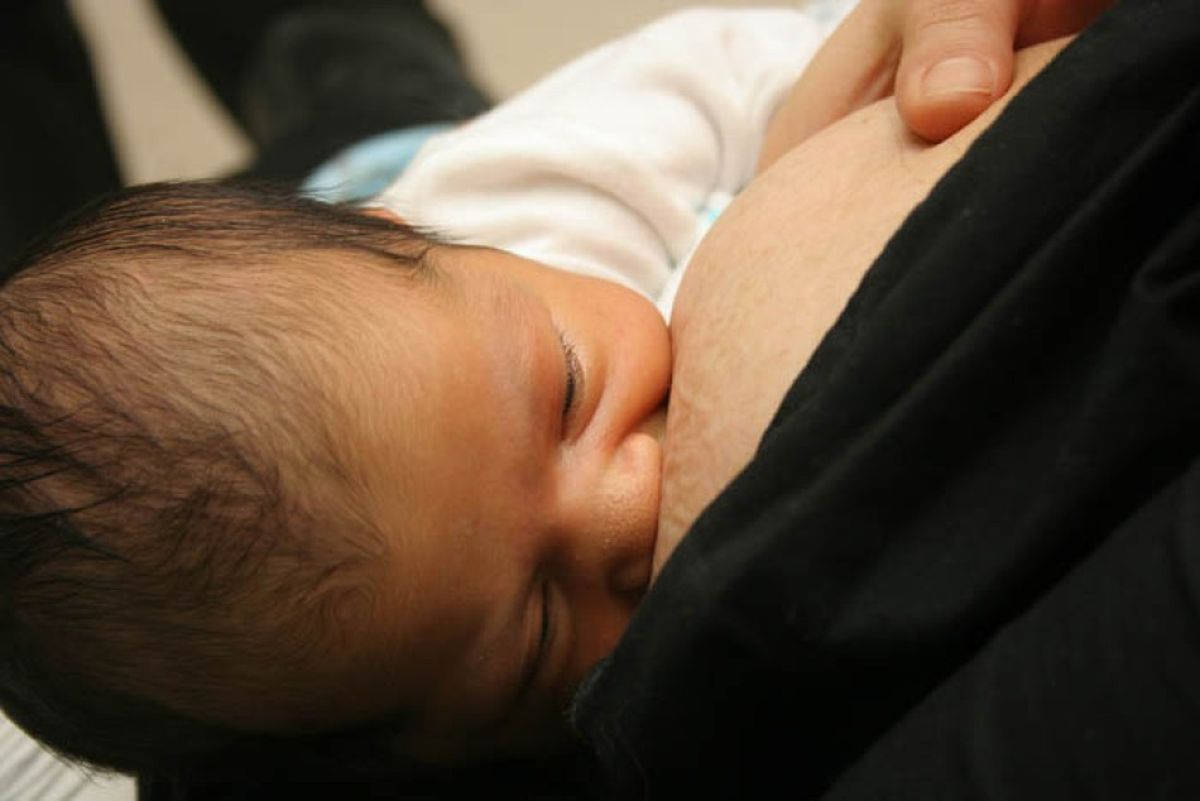 La Semana del Parto Respetado apunta a brindar información sobre los derechos al momento del parto y el nacimiento. La Semana del Parto Respetado apunta a brindar información sobre los derechos al momento del parto y el nacimiento.