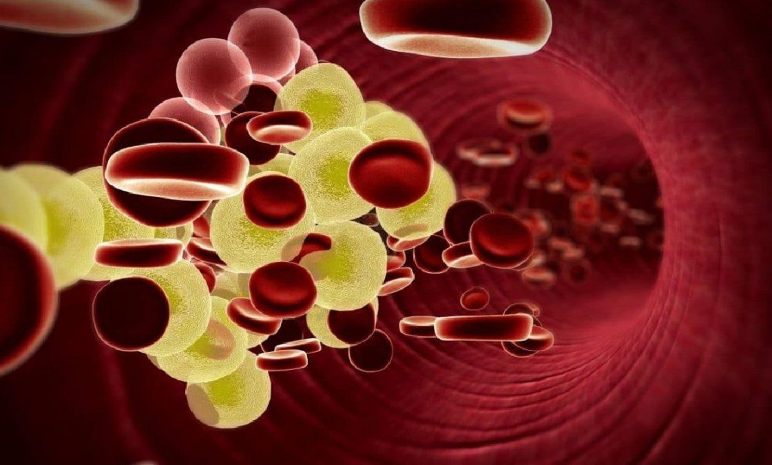 5 alimentos estrellas para bajar el colesterol