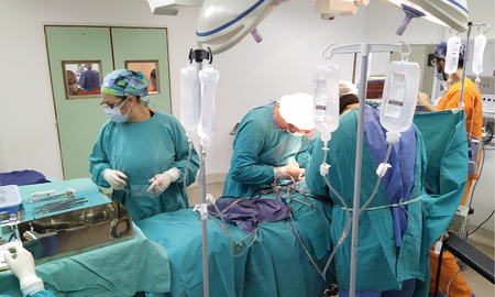 Los operativos de donación de órganos se realizaron en Rosario, Santa Fe y Rafaela y posibilitaron 16 trasplantes. Los operativos de donación de órganos se realizaron en Rosario, Santa Fe y Rafaela y posibilitaron 16 trasplantes.
