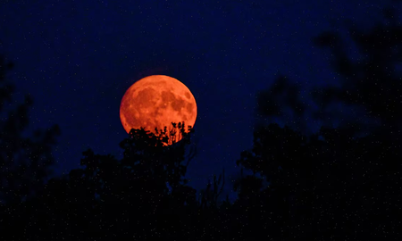 Luna de Sangre el 3 de marzo: a qué hora ver el eclipse lunar total Luna de Sangre el 3 de marzo: a qué hora ver el eclipse lunar total