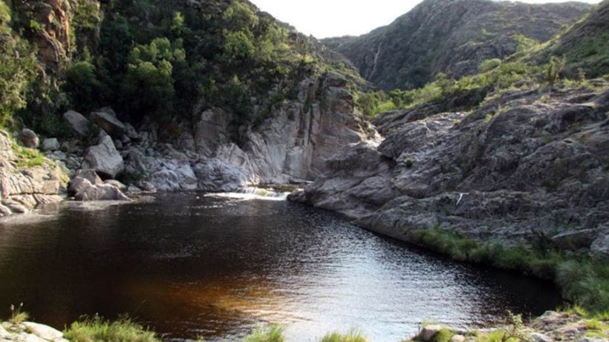 La Reserva Cerro Blanco, donde se encuentran los Toboganes ofrece actividades diversas para todos los turistas. La Reserva Cerro Blanco, donde se encuentran los Toboganes ofrece actividades diversas para todos los turistas.