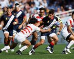 los pumas le ganaron a japon y pasaron a cuartos de final del mundial los pumas le ganaron a japon y pasaron a cuartos de final del mundial