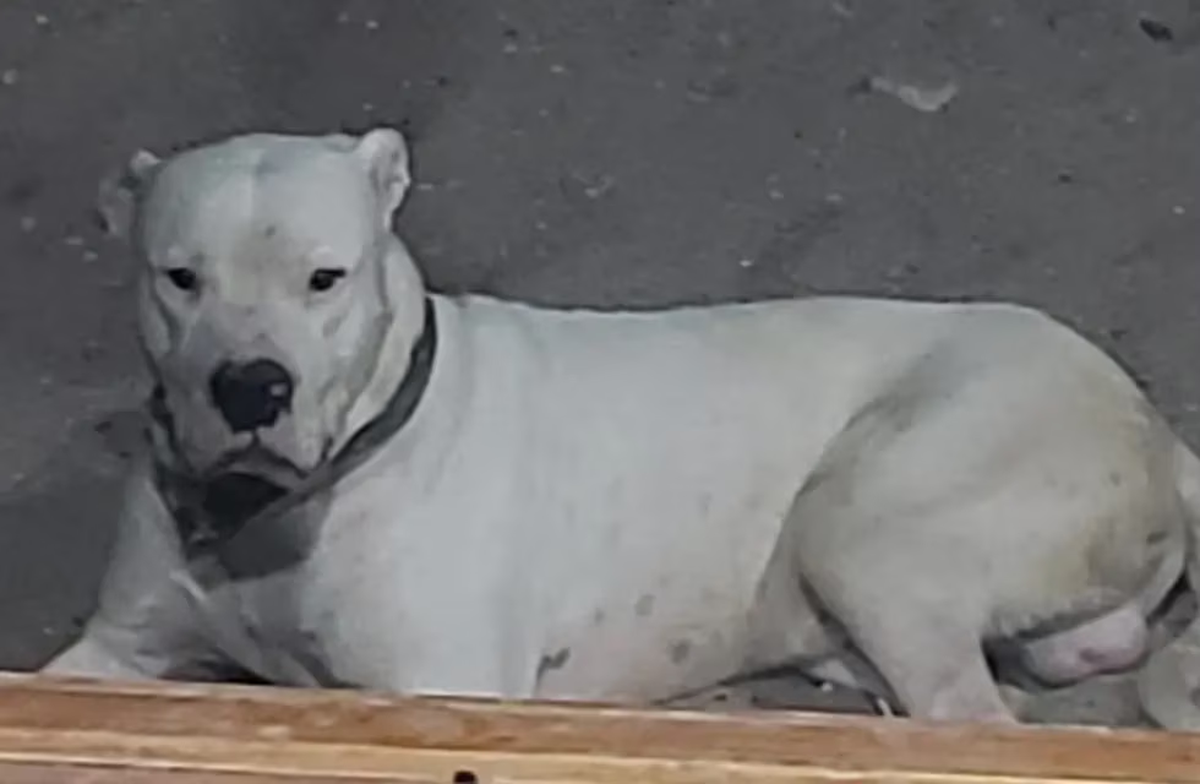 Jack tiene 13 meses y vive en Villa María.