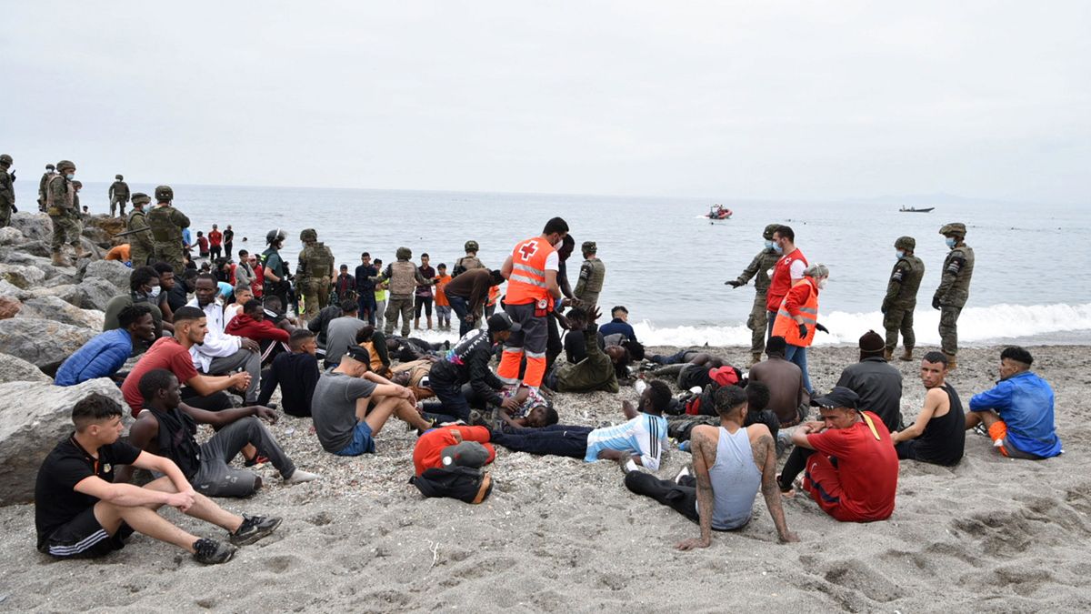 Durante la primera semana de migraciones