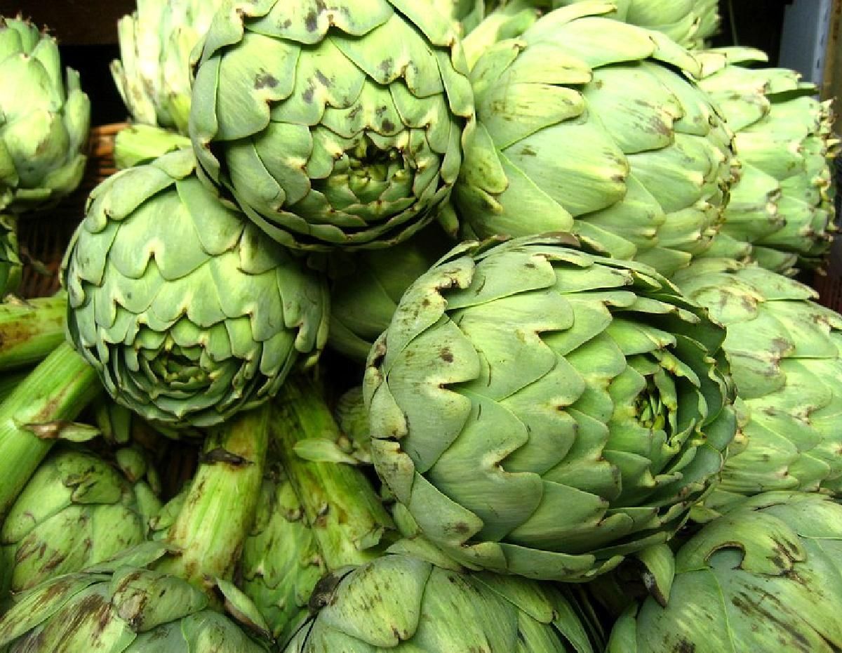 Así se prepara el alcaucil