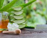 Remedio de miel y aloe vera para la desinflamación intestinal. Remedio de miel y aloe vera para la desinflamación intestinal.