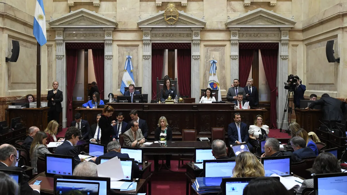 Ley Bases en el Senado: eliminan los capítulos de Ganancias y Bienes Personales. Ley Bases en el Senado: eliminan los capítulos de Ganancias y Bienes Personales.