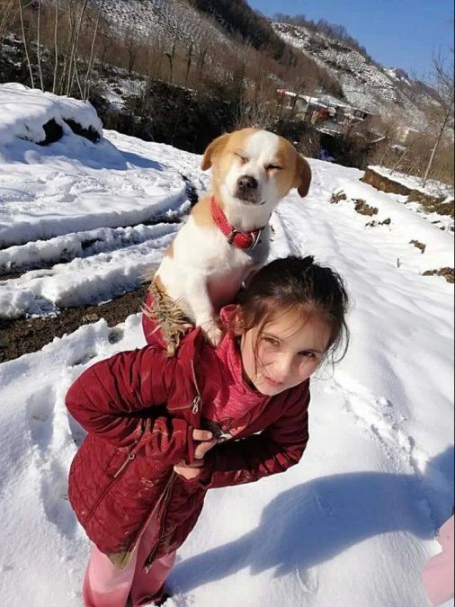 La niña lo cargó en su espalda por 2,5 kilómetros en la nieve.