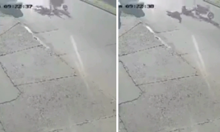 Un motociclista atropelló a un hombre que bajaba de su camioneta en La Plata. Un motociclista atropelló a un hombre que bajaba de su camioneta en La Plata.
