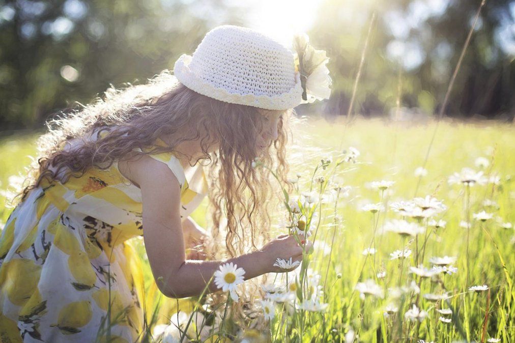 Prefieren un estilo de vida tranquilo, aunque eso no quiere decir que no disfruten de darse un gusto de vez en cuando.