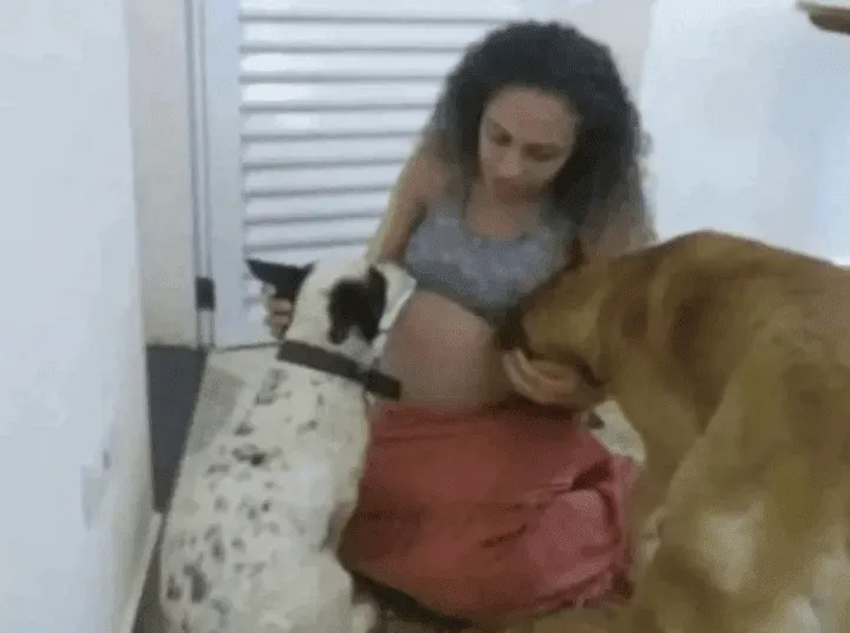 Eleine Novais embarazada junto a sus perros.