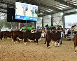 Suspendieron la Expo Rural de San Justo por las condiciones climáticas.