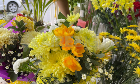 llega la primavera: el origen de la tradicion de regalar flores amarillas llega la primavera: el origen de la tradicion de regalar flores amarillas