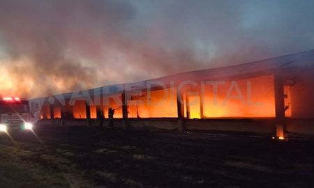 Un módulo de recría de lechones de perdió por completo. Un módulo de recría de lechones de perdió por completo.