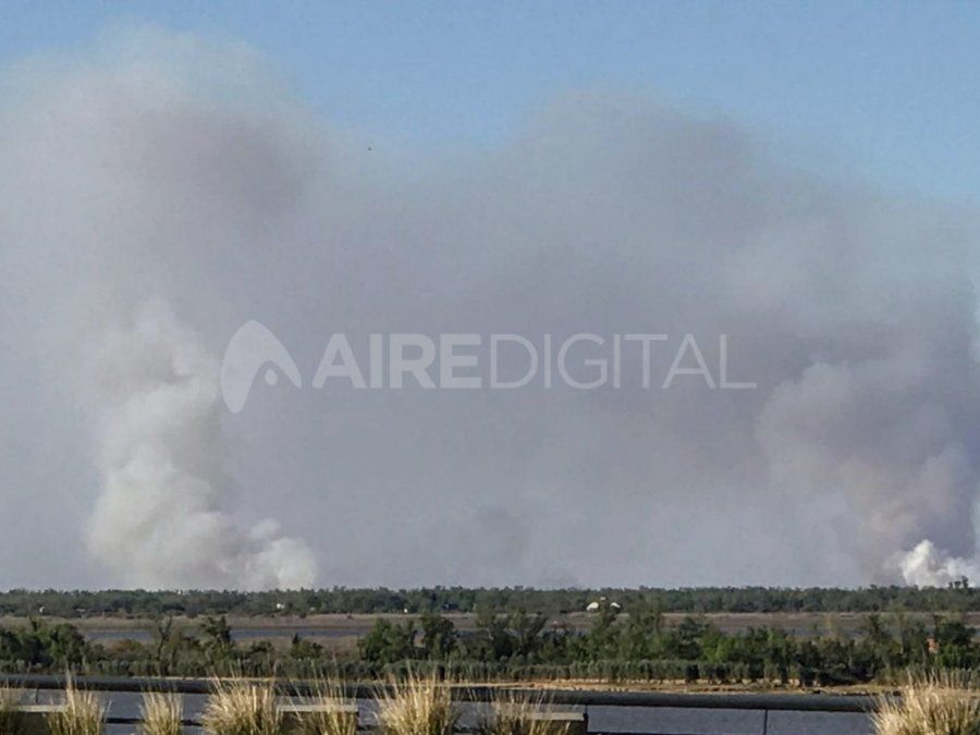 Los incendios en las islas del Delta del Paraná frente a Rosario son casi permanentes.