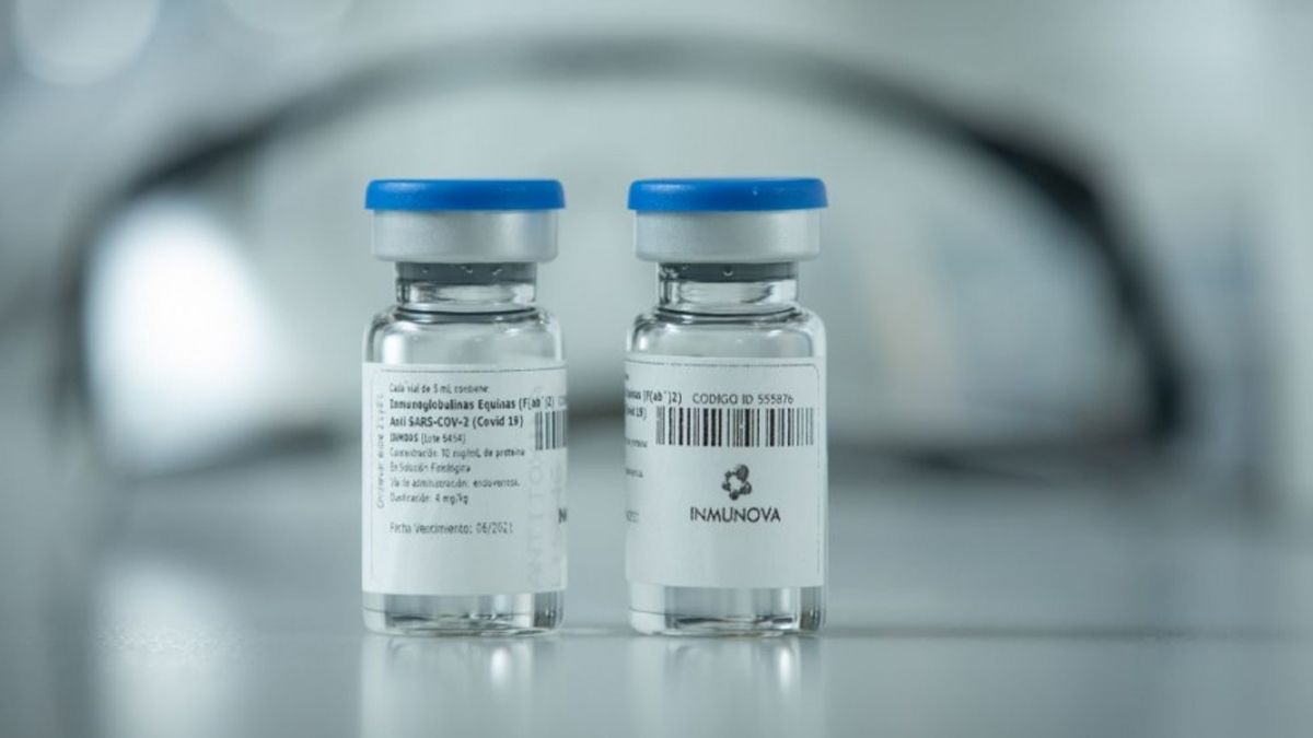 Coronavirus: comienza la distribución del suero equino hiperinmune desarrollado en Argentina y estará disponible esta semana