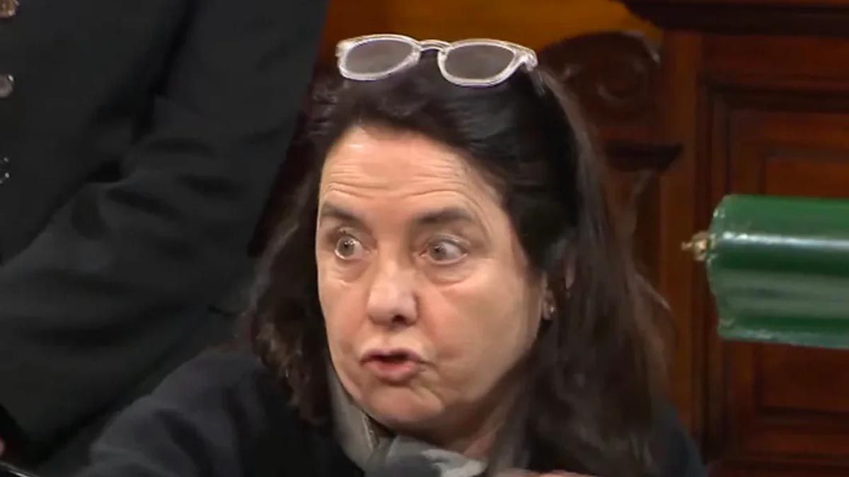 Carmen Álvarez Rivero protagonizó una polémica intervención durante el debate por la emergencia pediátrica en la Cámara alta