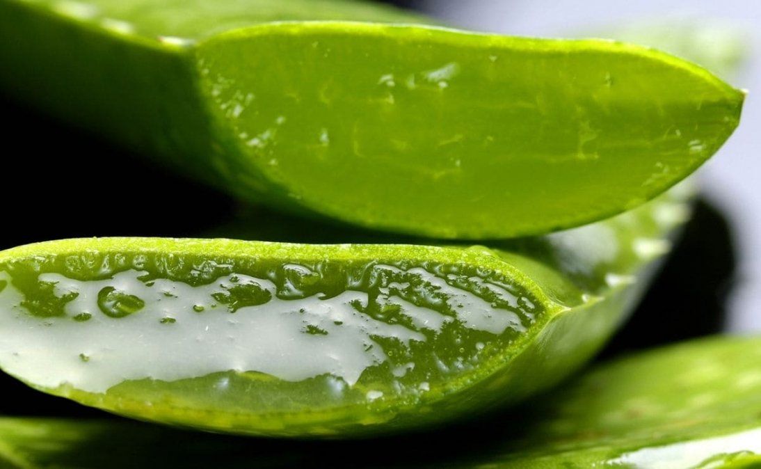 Cómo hacer tu propia mascarilla facial de aloe vera