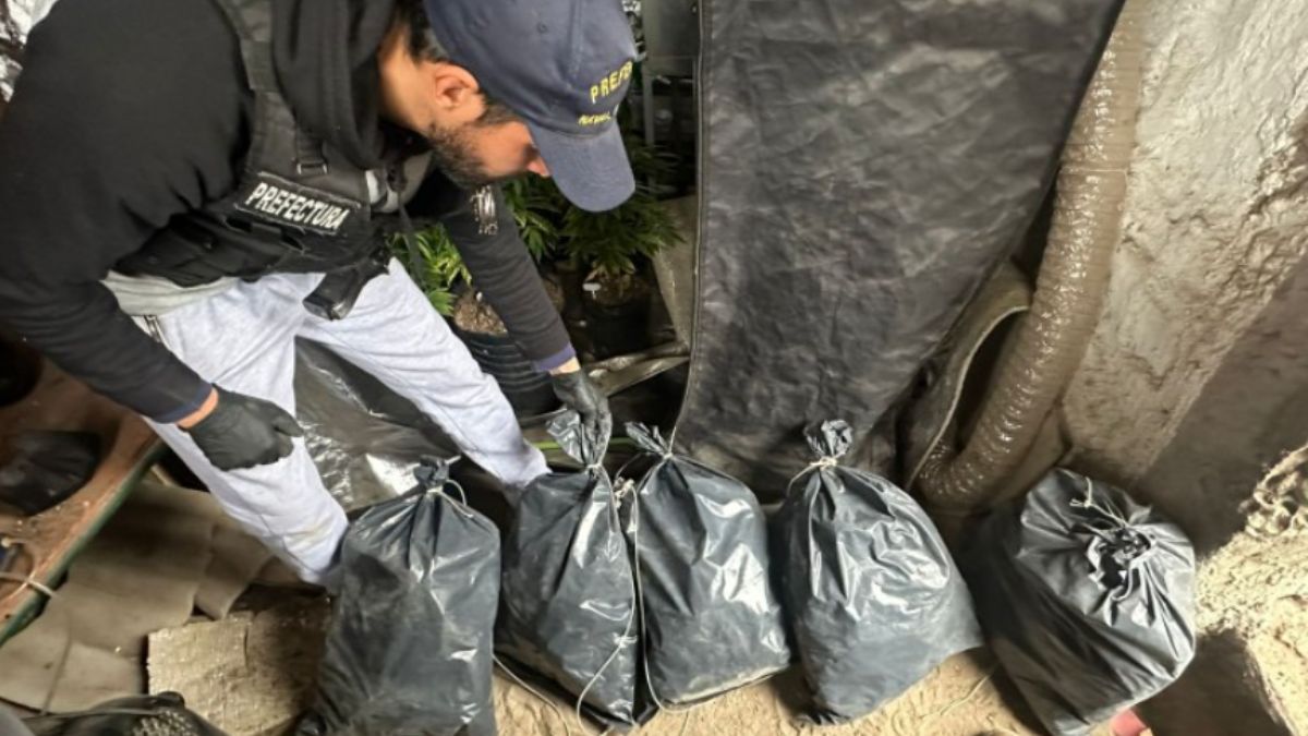 Las bolsas en las que fue encontrada la droga.