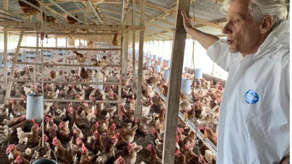 Bernardo Kojic nos explica la movida de las gallinas felices: Las multis ya piden en Argentina huevos libres de jaula