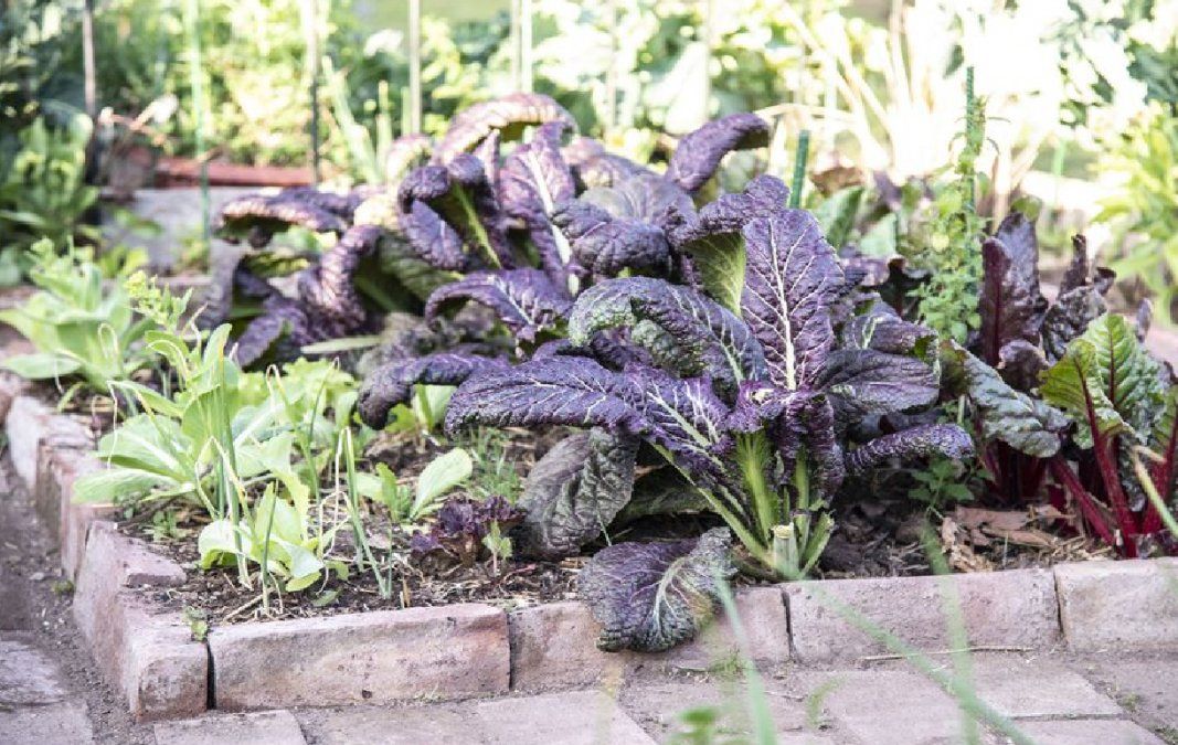 Hay diversos tipos de canteros