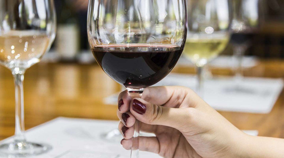 Según especialistas, el vino es una fuente rica en potasio, y además contiene otros minerales.