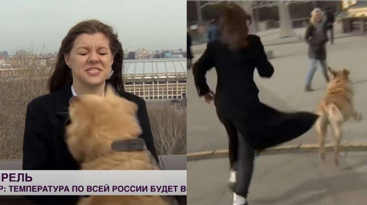 La reportera estaba dando un móvil en directo para un noticiero ruso