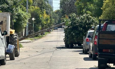La caída de dos postes de telefonía preocupó a los vecinos de barrio Centenario este miércoles por la mañana. La caída de dos postes de telefonía preocupó a los vecinos de barrio Centenario este miércoles por la mañana.