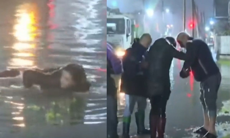 video impactante: una cronista de tn se cayo en vivo al agua mientras cubria las inundaciones en bernal video impactante: una cronista de tn se cayo en vivo al agua mientras cubria las inundaciones en bernal