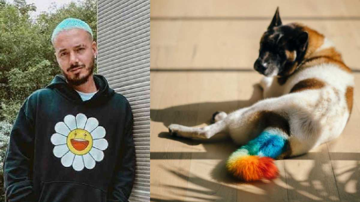 J Balvin le pintó la cola a su perro y lo mataron en las redes sociales: lo acusan de maltrato animal
