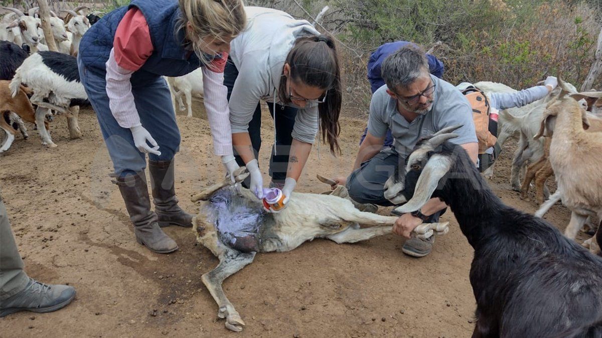 El grupo de estudiantes