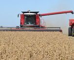 Crece el optimismo en el sector agropecuario, aunque la inversion a largo plazo se mantiene cauta Crece el optimismo en el sector agropecuario, aunque la inversion a largo plazo se mantiene cauta